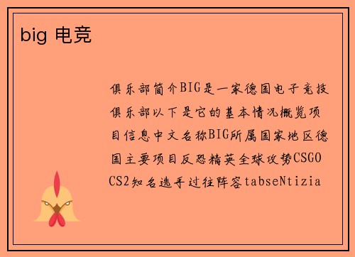 big 电竞